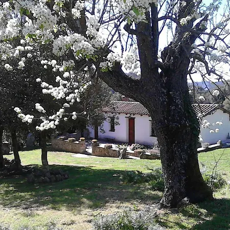 B&B I Menhir