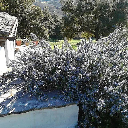 I Menhir B&B 3*