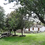 I Menhir Sorgono