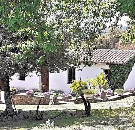 I Menhir Bed & Breakfast