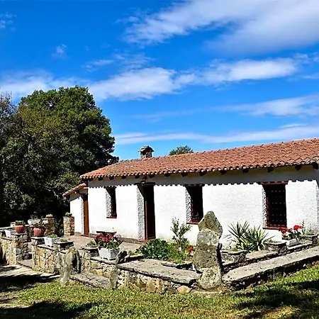 Bed & Breakfast I Menhir Sorgono