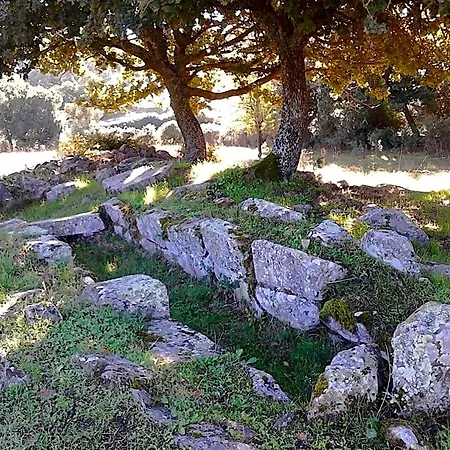 Bed & Breakfast I Menhir Sorgono