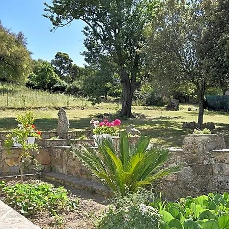 I Menhir Bed & Breakfast 3*