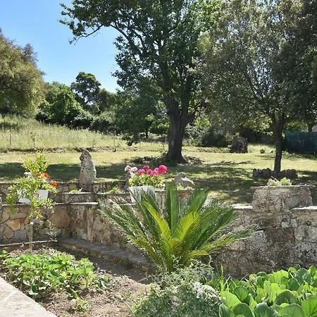 I Menhir