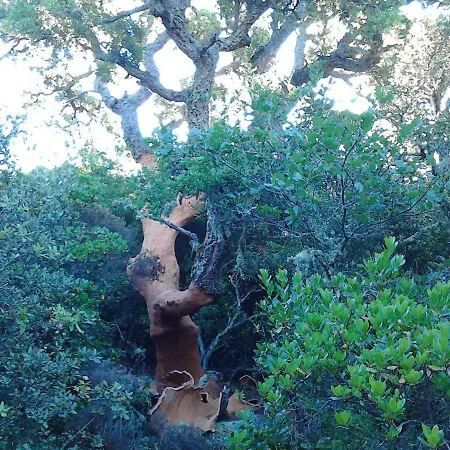 Bed & Breakfast I Menhir