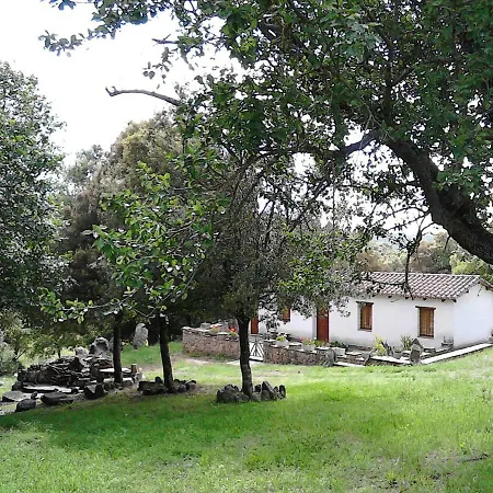 I Menhir Sorgono