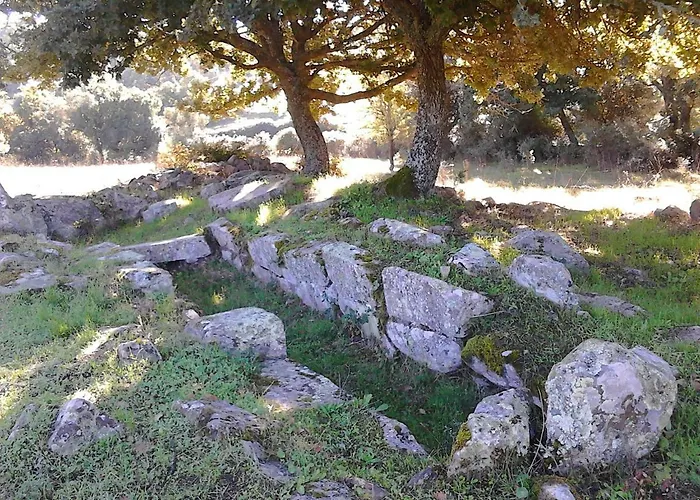 I Menhir فندق مبيت وإفطار Sorgono